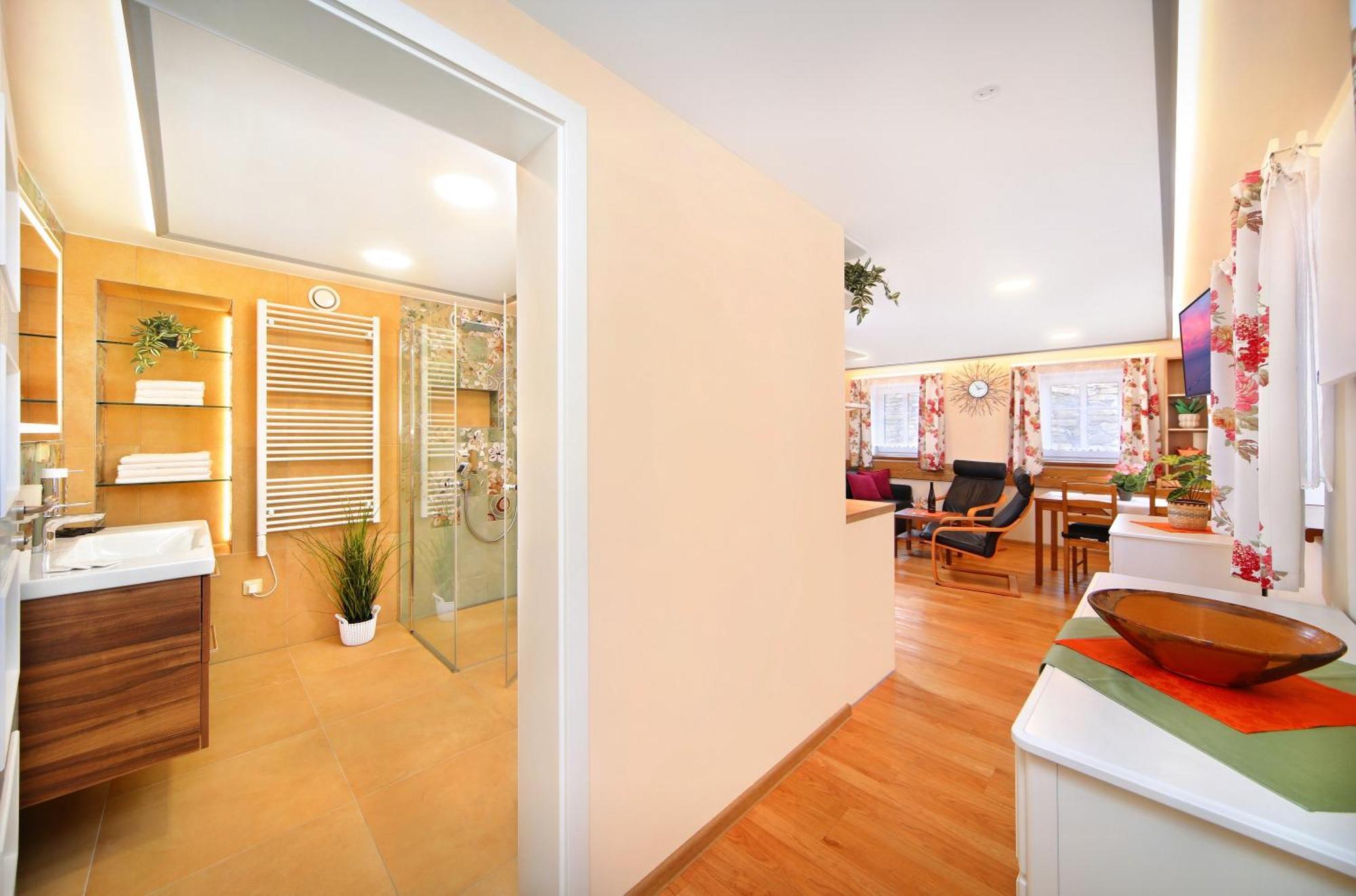 Mlyn Apartment